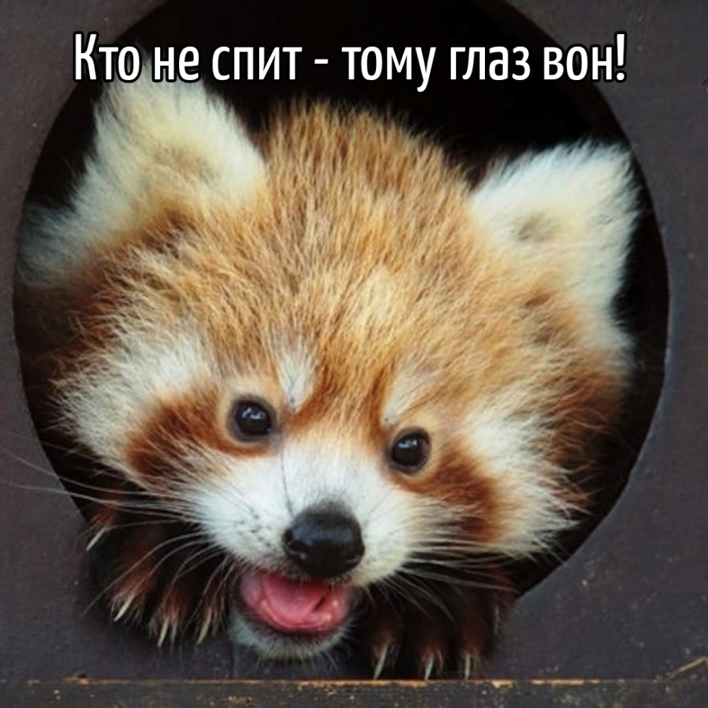 Кто не спит — тому глаз вон!