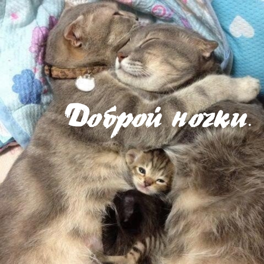 Доброй ночки.