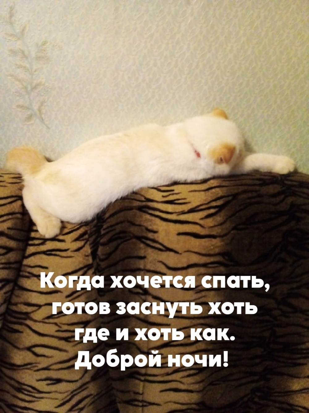 Когда хочется спать, готов заснуть хоть где и хоть как.