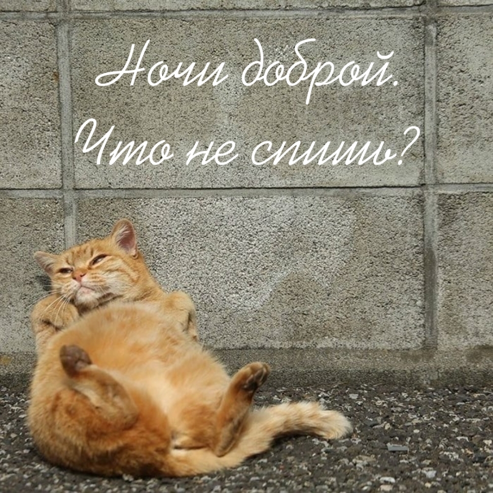 Ночи доброй. Что не спишь?
