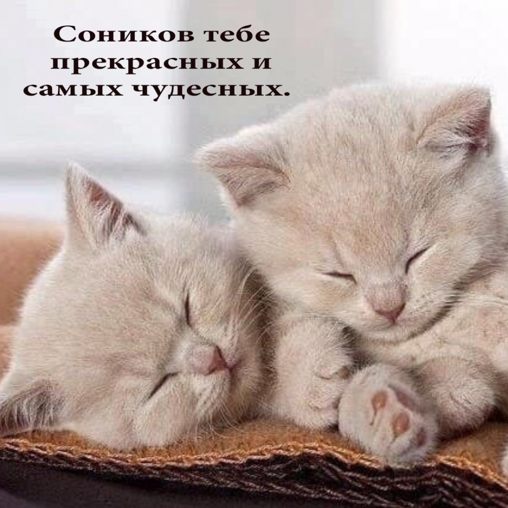 Соников тебе прекрасных и самых чудесных.