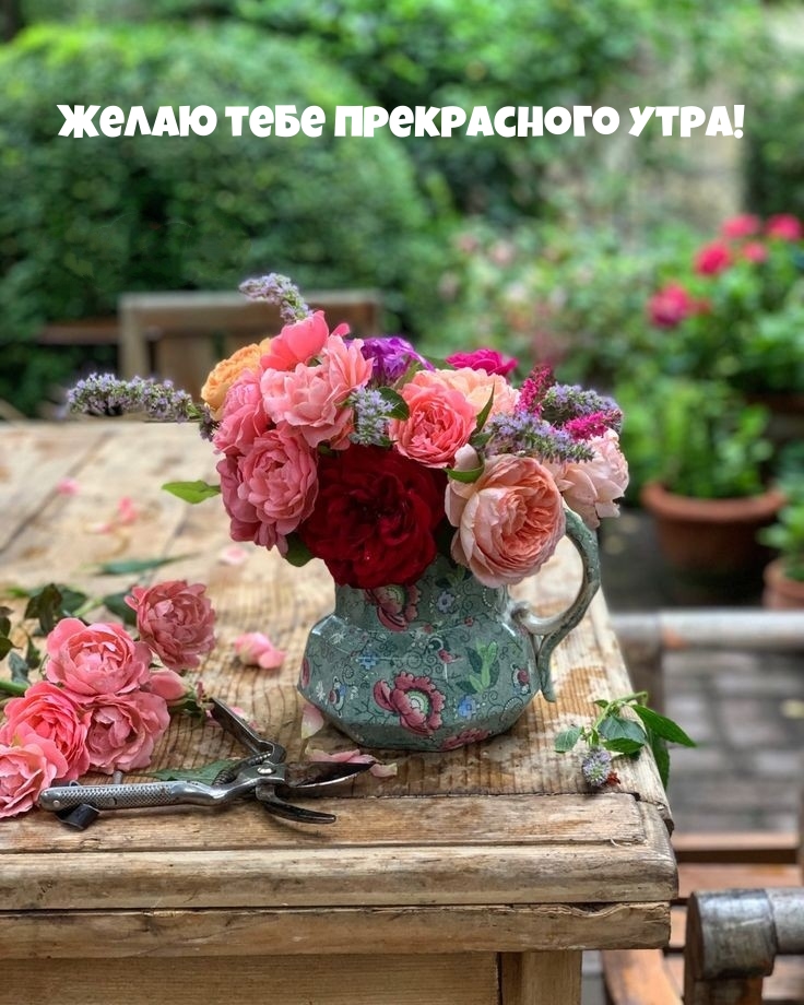 Желаю тебе прекрасного утра!