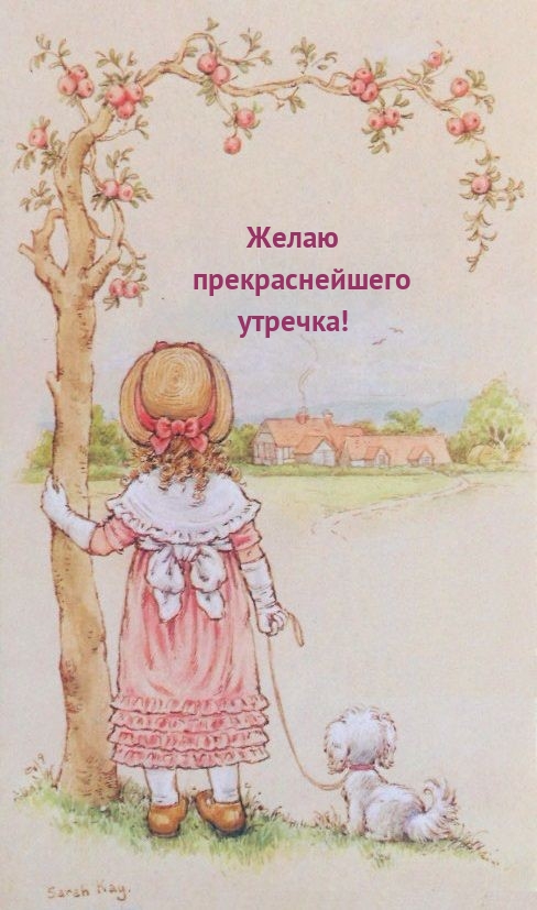 Желаю прекраснейшего утречка!