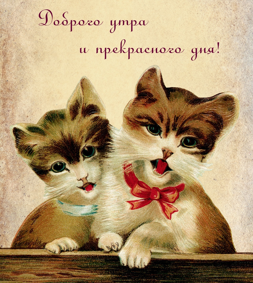 Доброго утра и прекрасного дня!