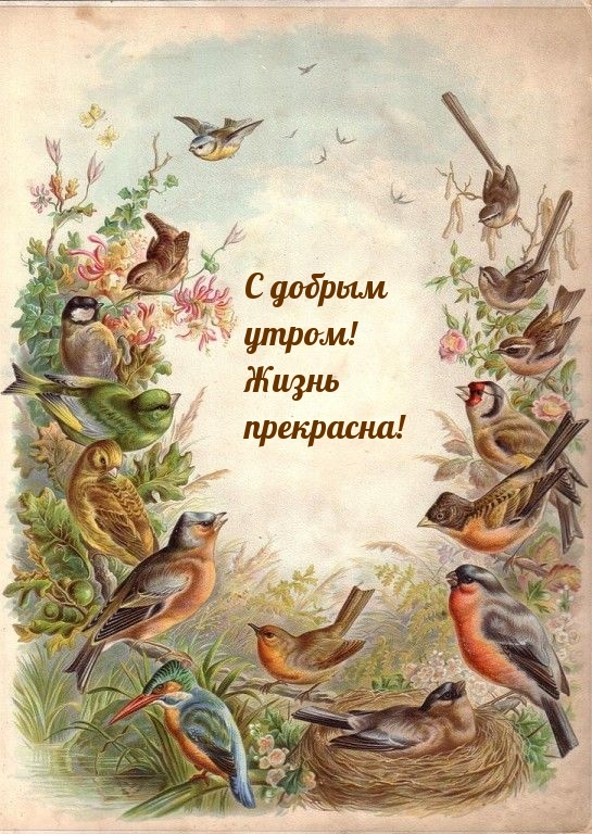С добрым утром! Жизнь прекрасна!