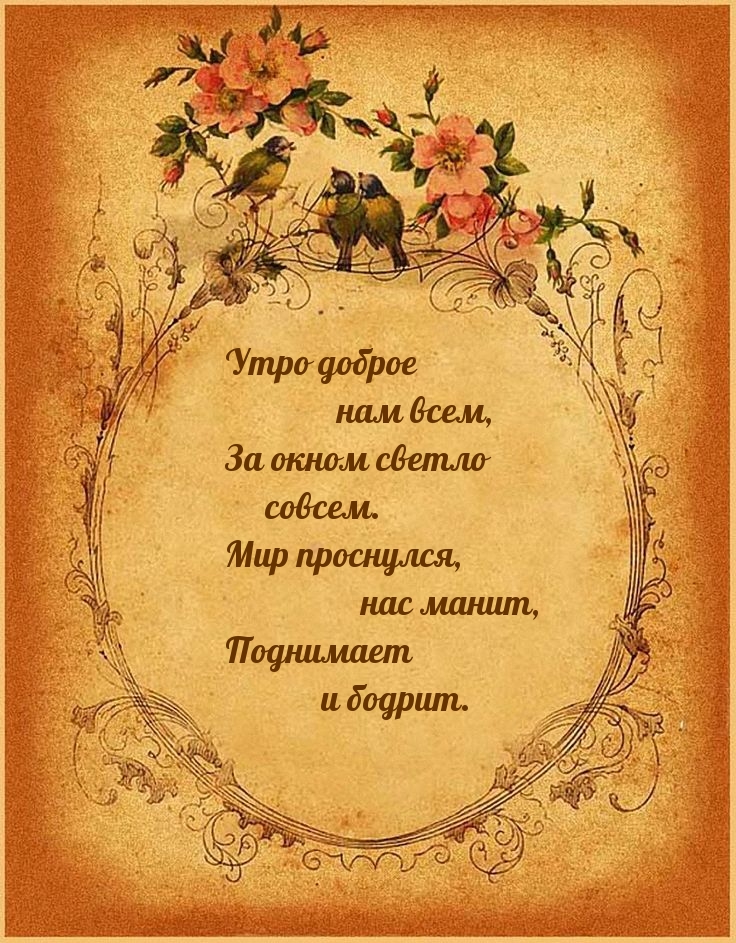 Утро доброе нам всем, за окном светло совсем.