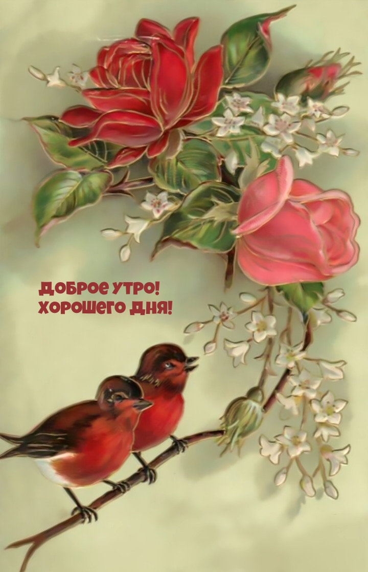 Доброе утро! Хорошего дня!