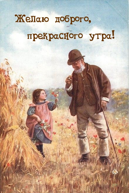 Желаю доброго, прекрасного утра!