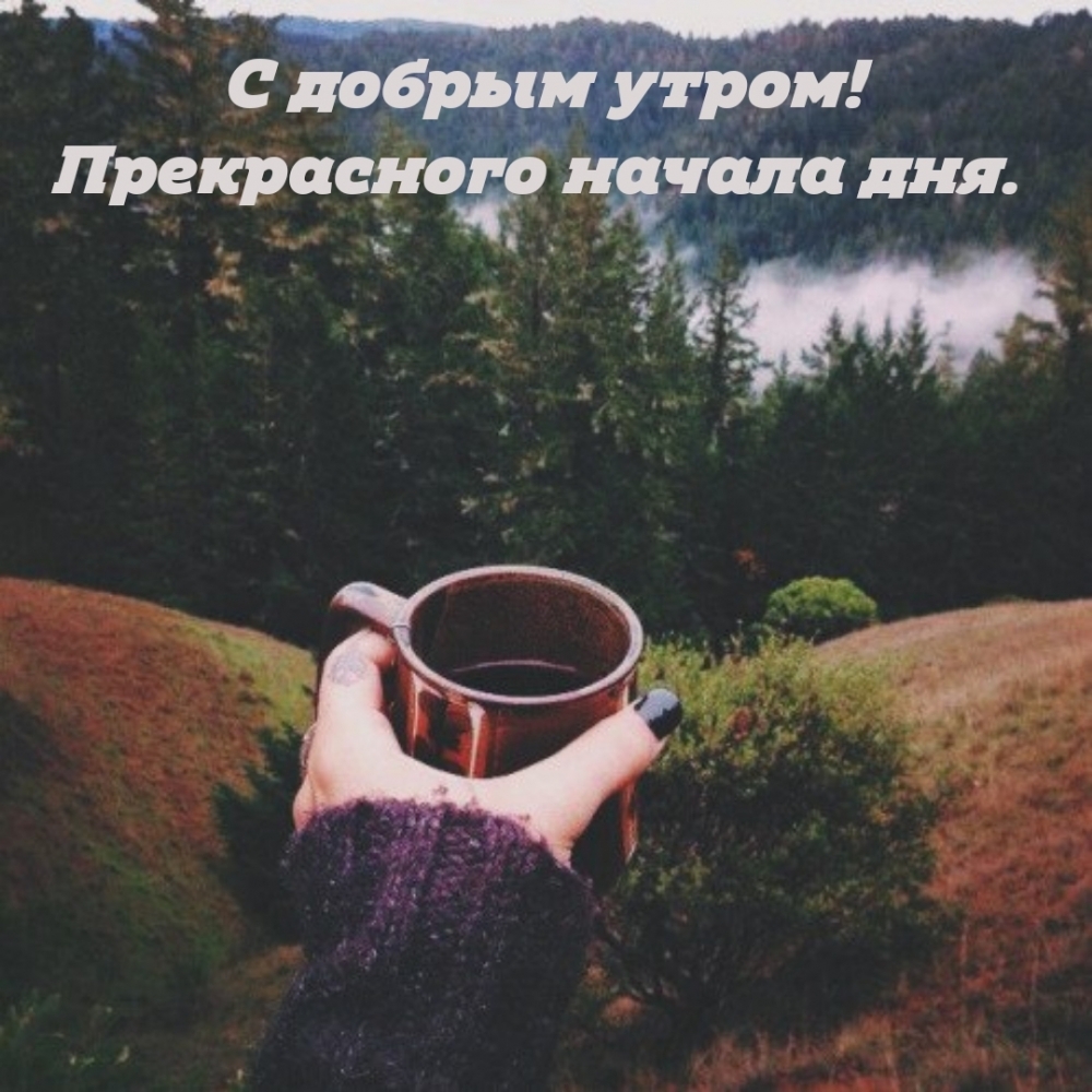 С добрым утром! Прекрасного начала дня.