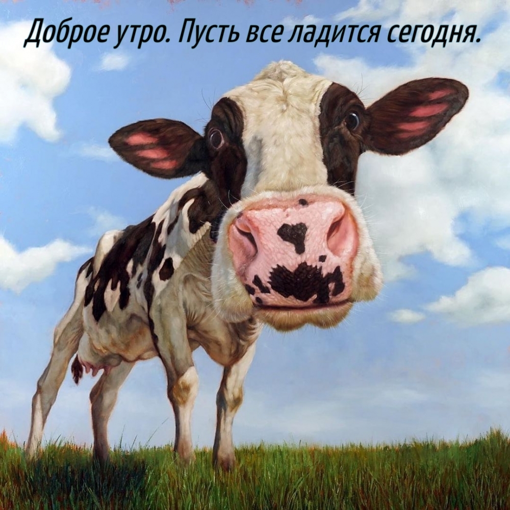 Доброе утро. Пусть все ладится сегодня.
