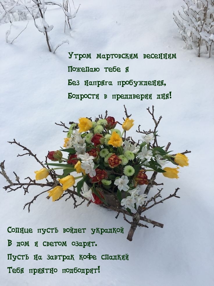 Утром мартовским весенним пожелаю тебе я без напряга пробуждения