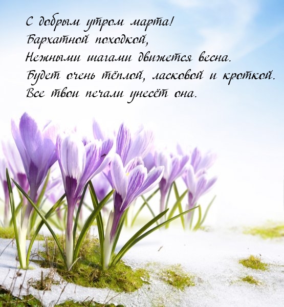 С добрым утром марта! Бархатной походкой движется весна.