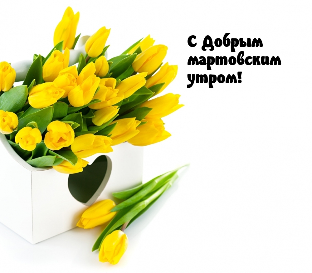 С Добрым мартовским утром!