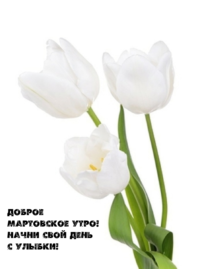 Доброе мартовское утро! Начни свой день с улыбки!