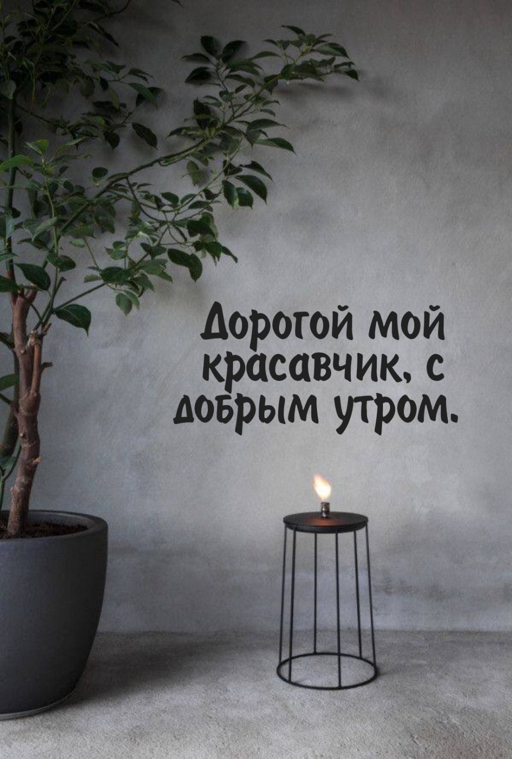 Дорогой мой красавчик, с добрым утром.