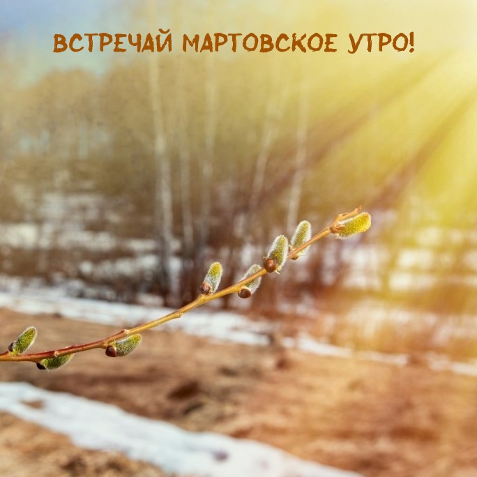 Встречай мартовское утро!