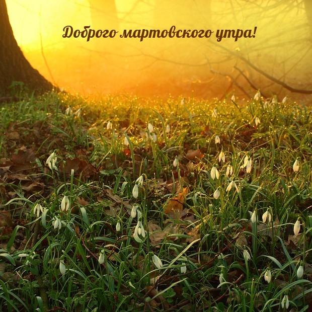 Доброго мартовского утра!