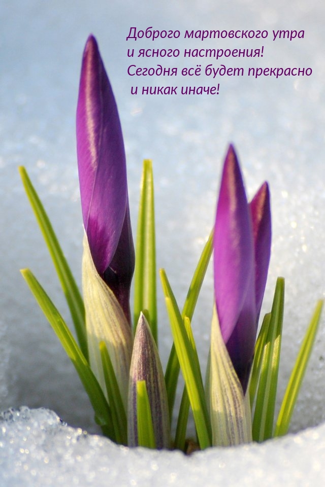 Доброго мартовского утра и ясного настроения!
