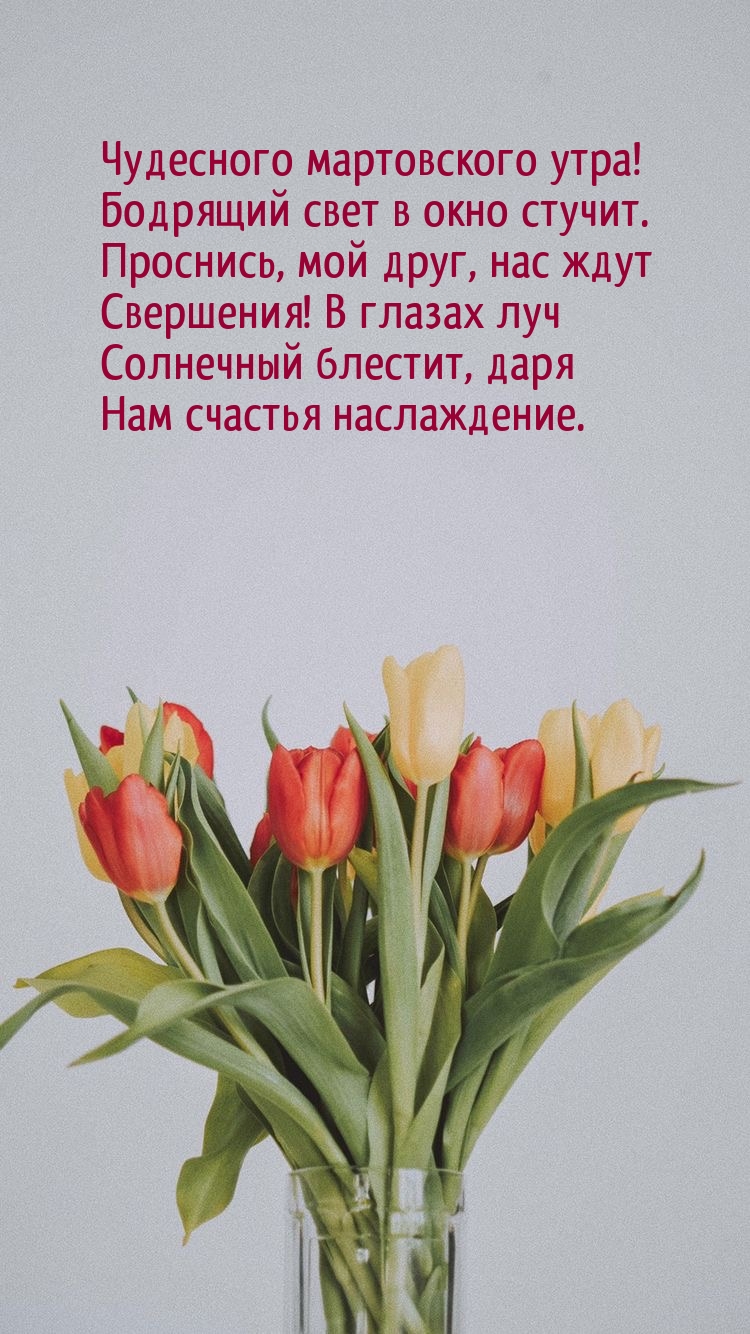 Чудесного мартовского утра! Бодрящий свет в окно стучит.