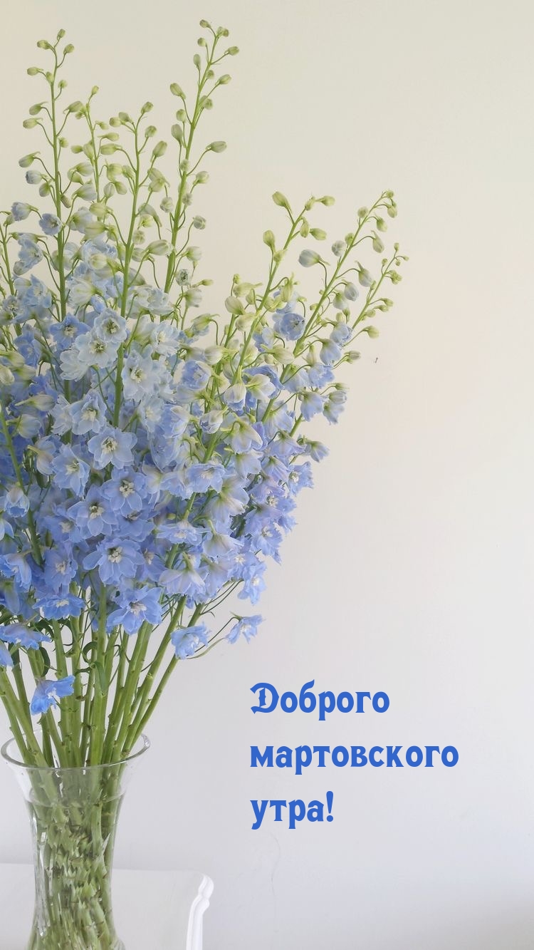 Доброго мартовского утра!