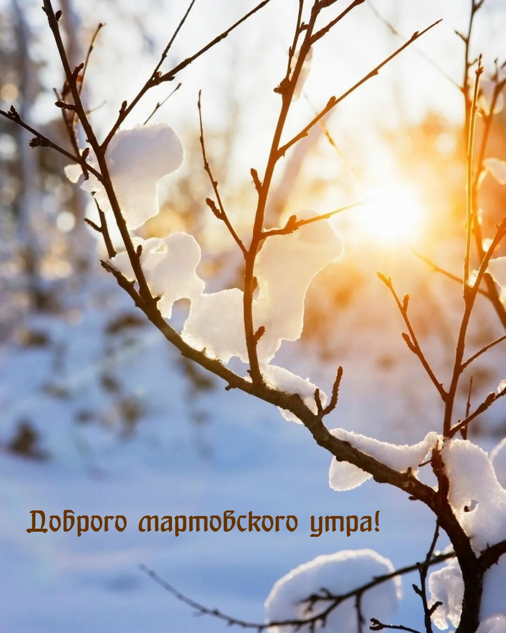 Доброго мартовского утра!