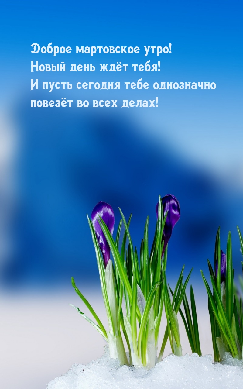 Доброе мартовское утро! Новый день ждёт тебя!
