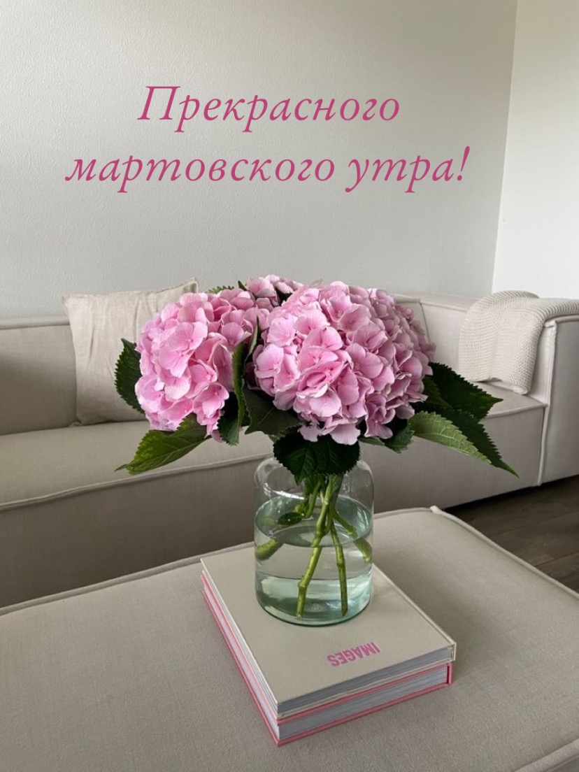 Прекрасного мартовского утра!