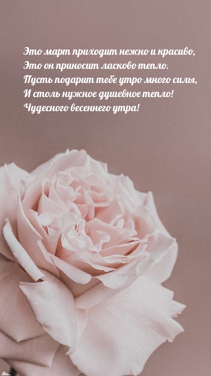 Чудесного весеннего утра! Это март приходит нежно и красиво