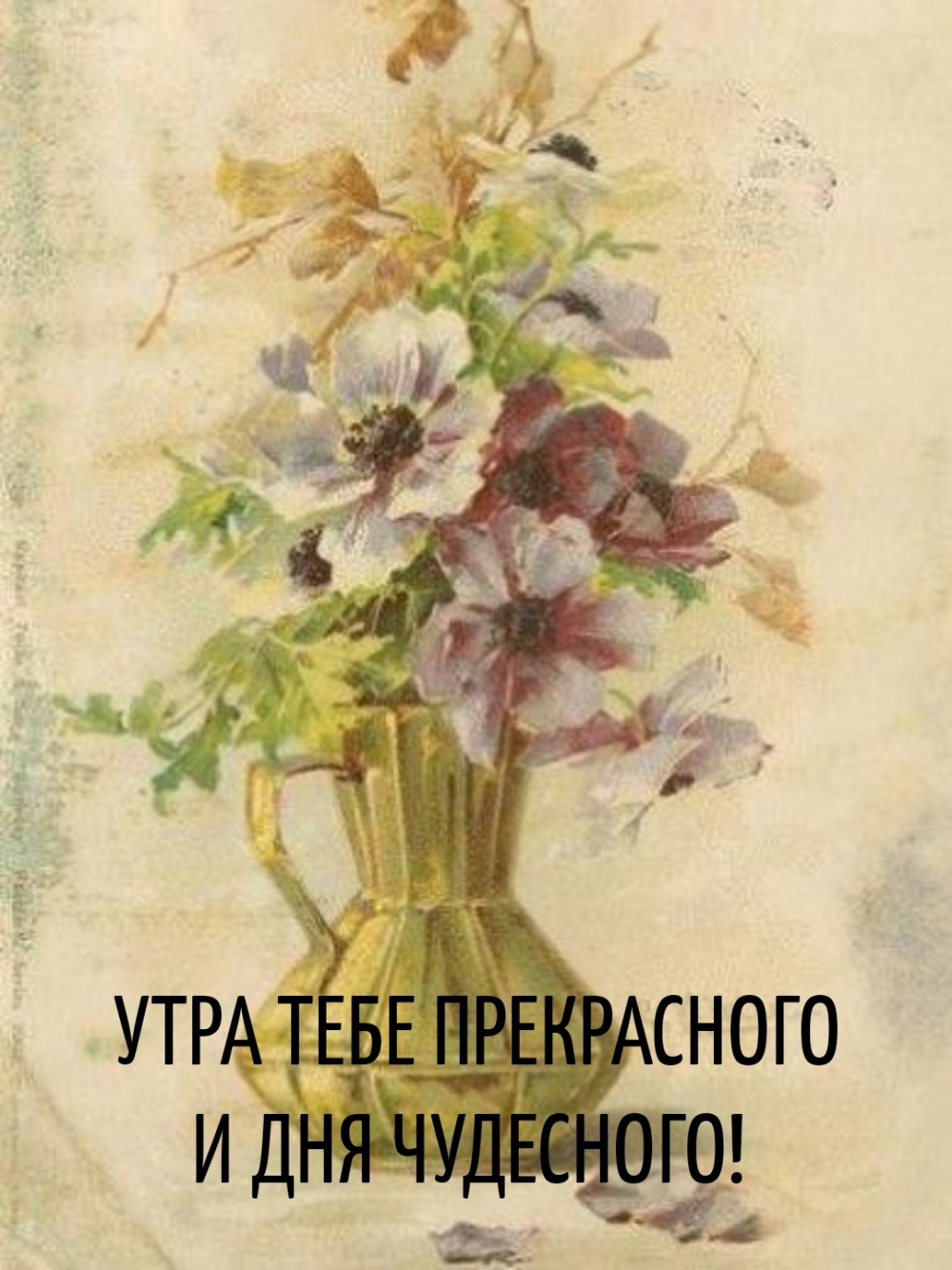 УТРА ТЕБЕ ПРЕКРАСНОГО И ДНЯ ЧУДЕСНОГО!