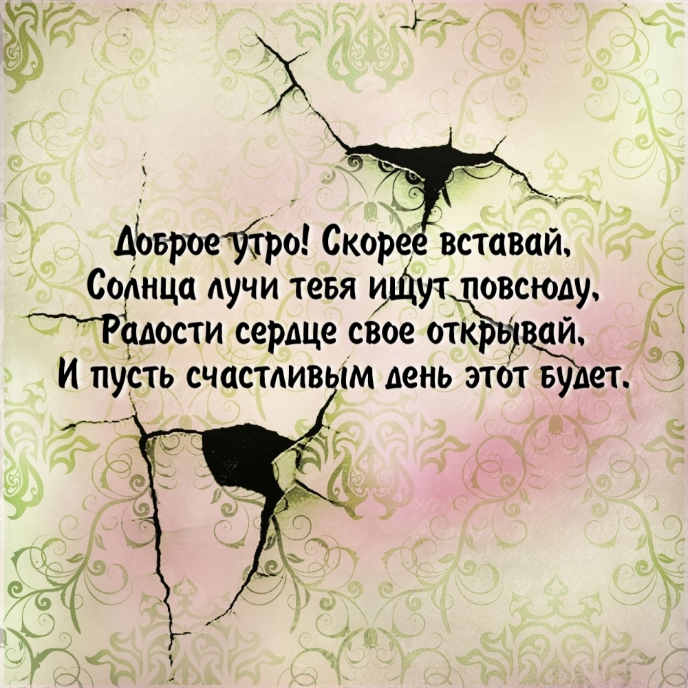 Доброе утро! Скорее вставай, солнца лучи тебя ищут повсюду