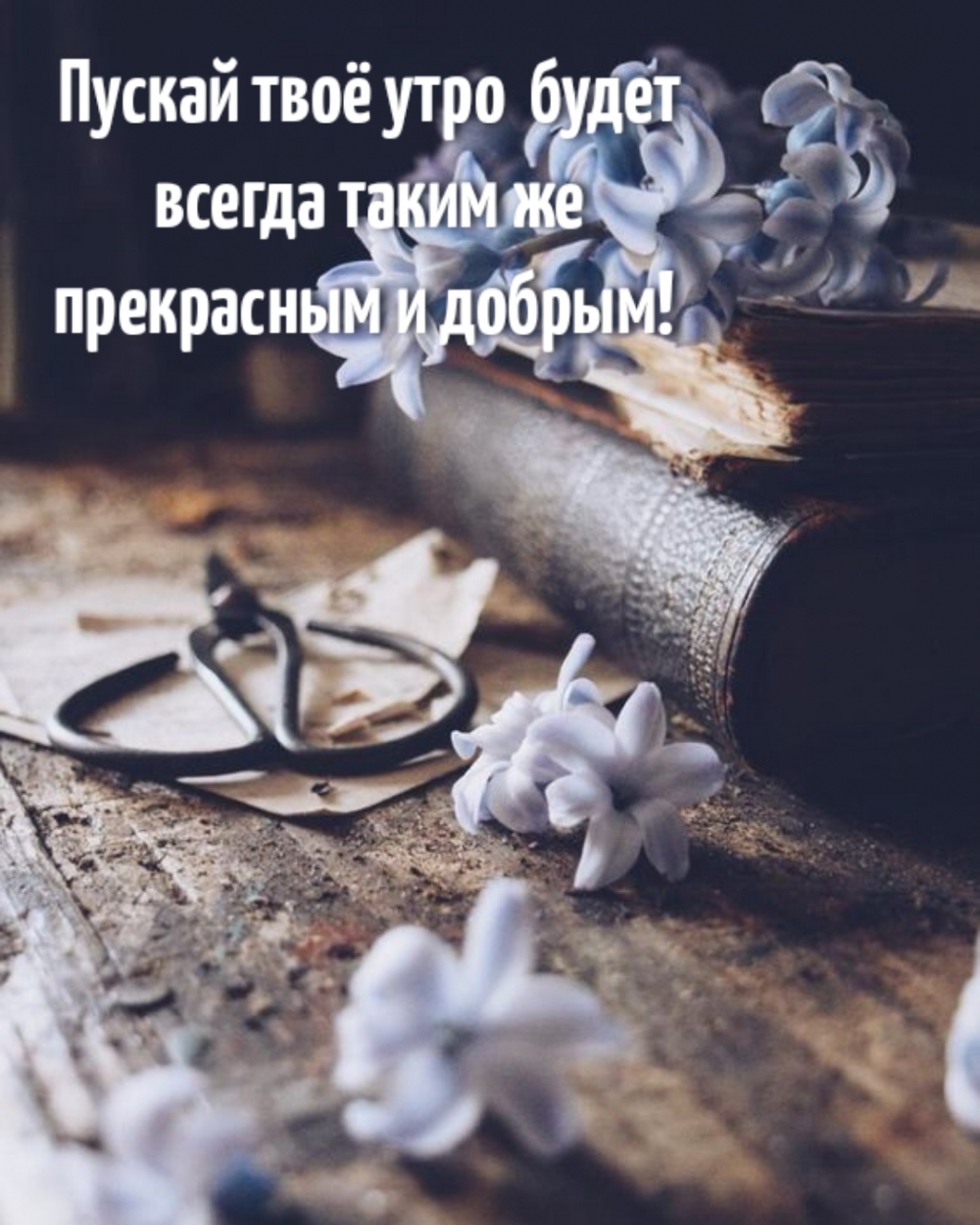 Пускай твоё утро будет всегда таким же прекрасным и добрым!