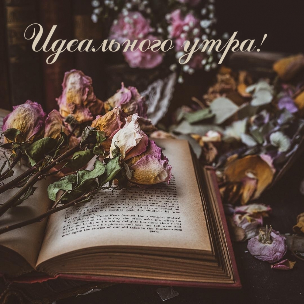 Идеального утра!