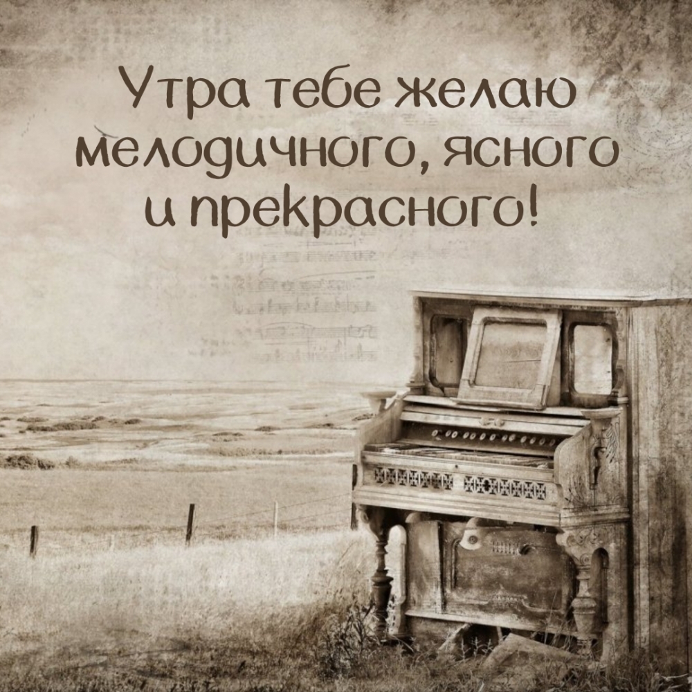 Утра тебе желаю мелодичного, ясного и прекрасного!