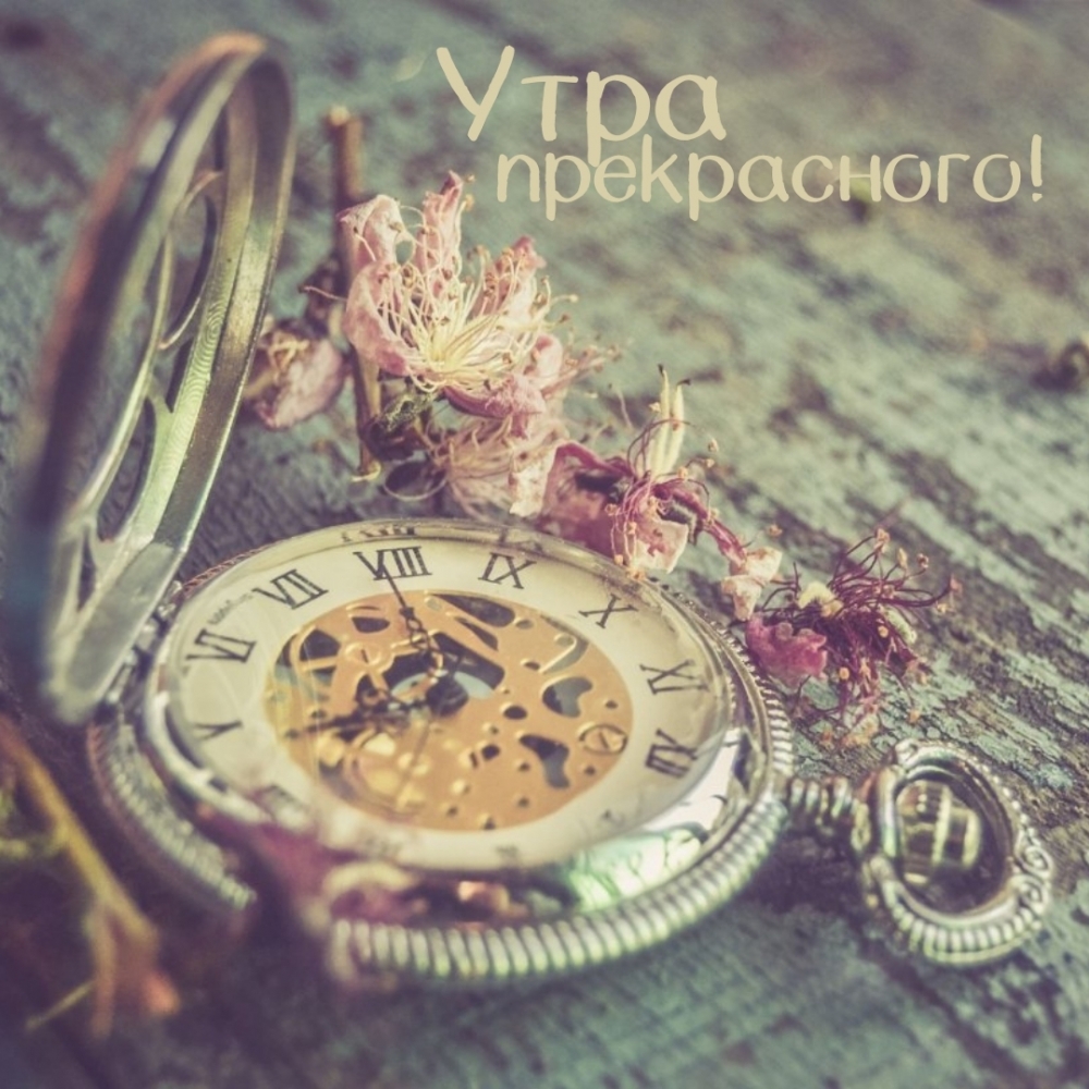 Утра прекрасного!