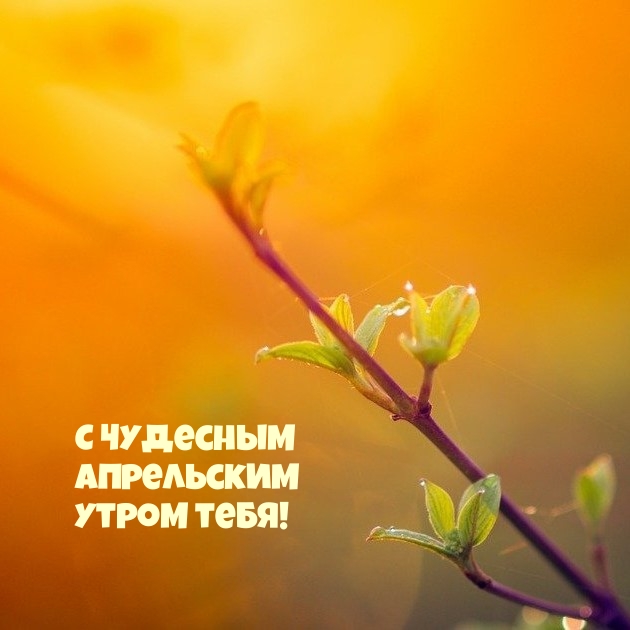 С Чудесным апрельским утром тебя!