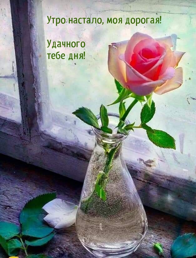 Утро настало, моя дорогая! Удачного тебе дня!