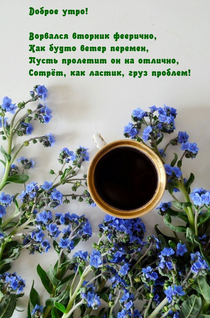 Доброе утро! Ворвался вторник феерично