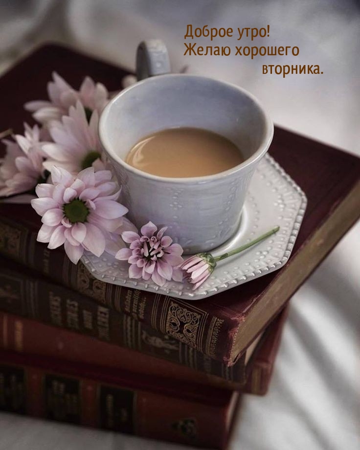 Доброе утро! Желаю хорошего вторника.