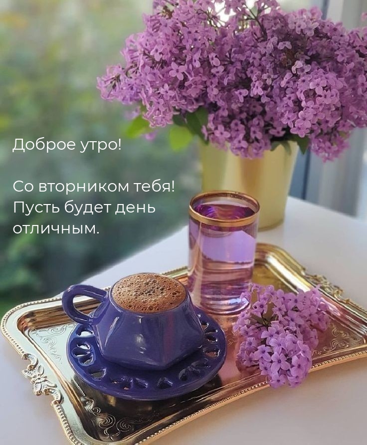 Доброе утро! Со вторником тебя! Пусть будет день отличным.