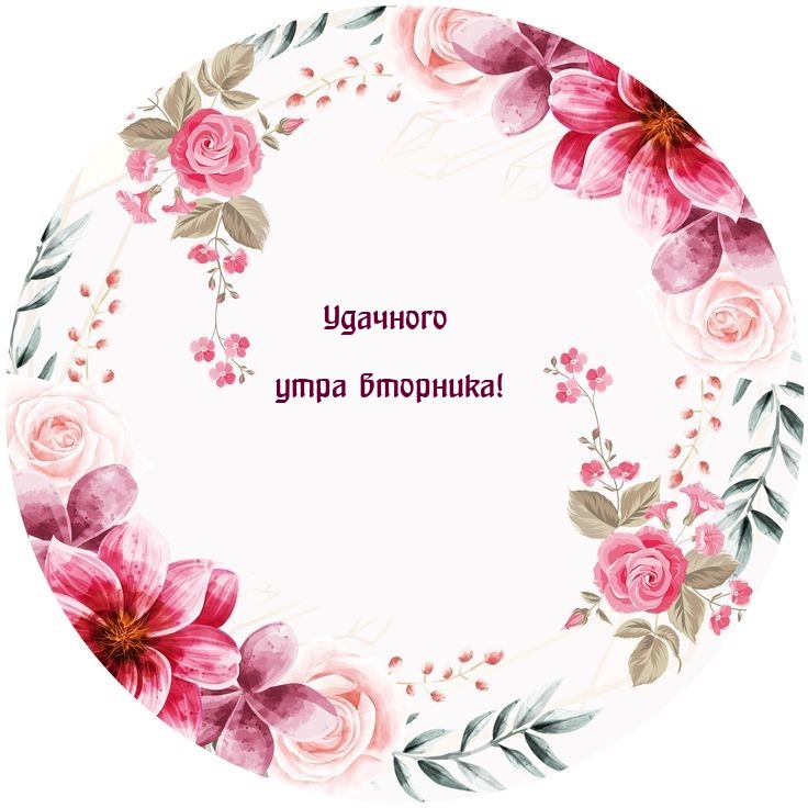 Удачного утра вторника!