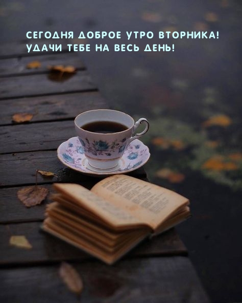 Сегодня доброе утро вторника! Удачи тебе на весь день!
