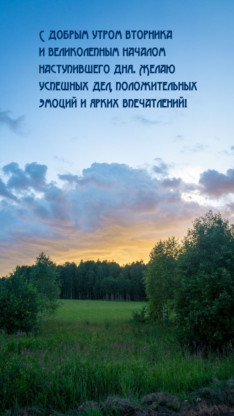С добрым утром вторника и великолепным началом наступившего дня.