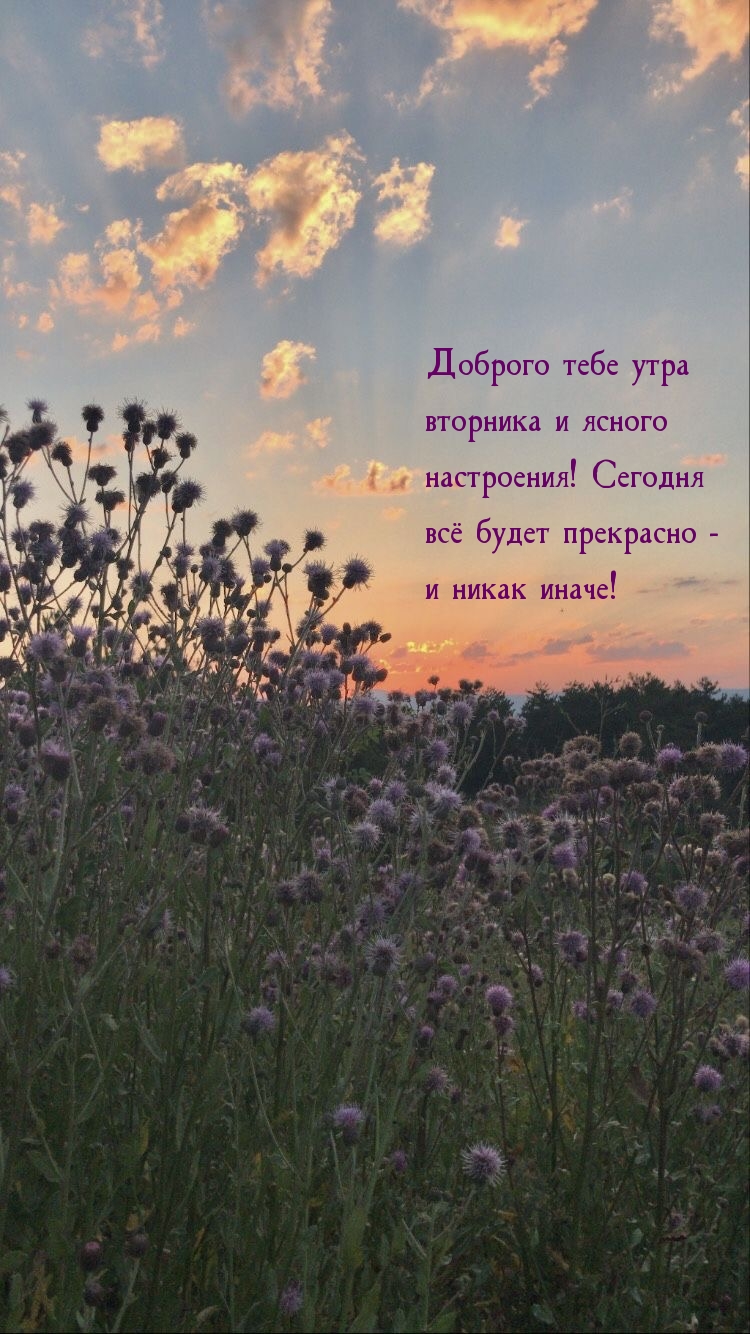 Доброго тебе утра вторника и ясного настроения!