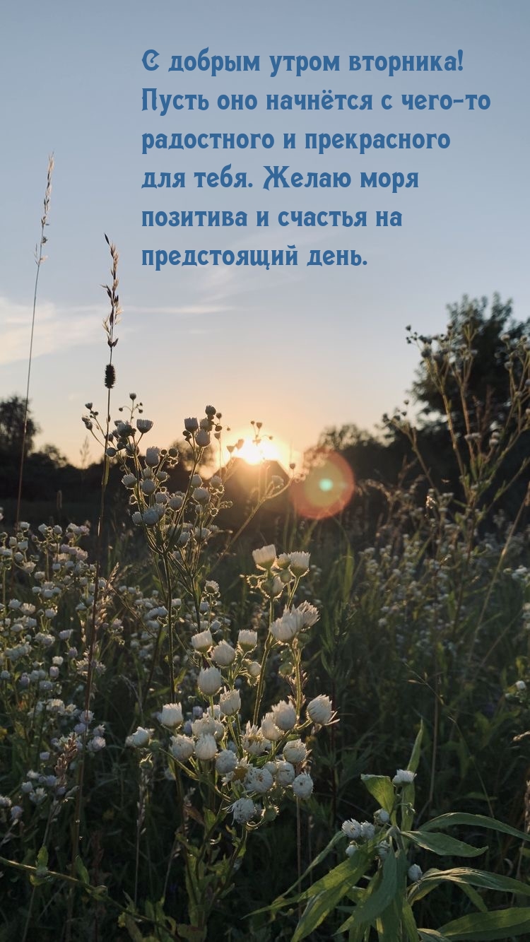 С добрым утром вторника! Пусть оно начнётся с чего-то радостного