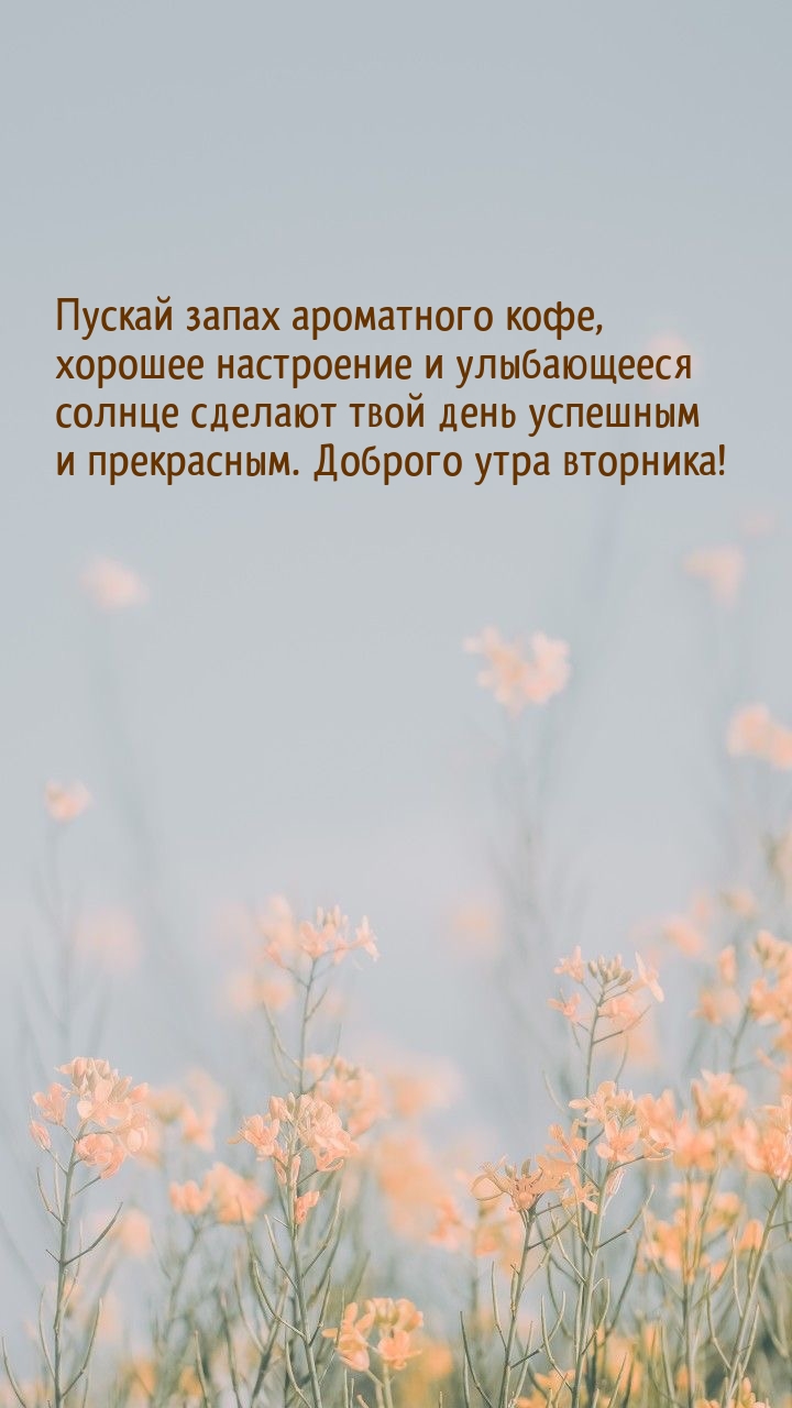 Доброго утра вторника! Запах кофе сделает день успешным.