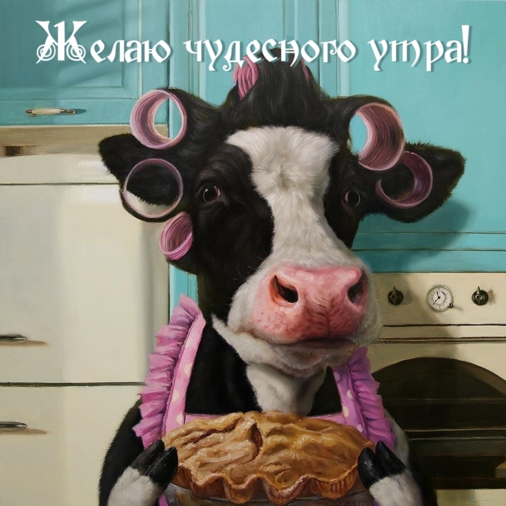 Желаю чудесного утра!