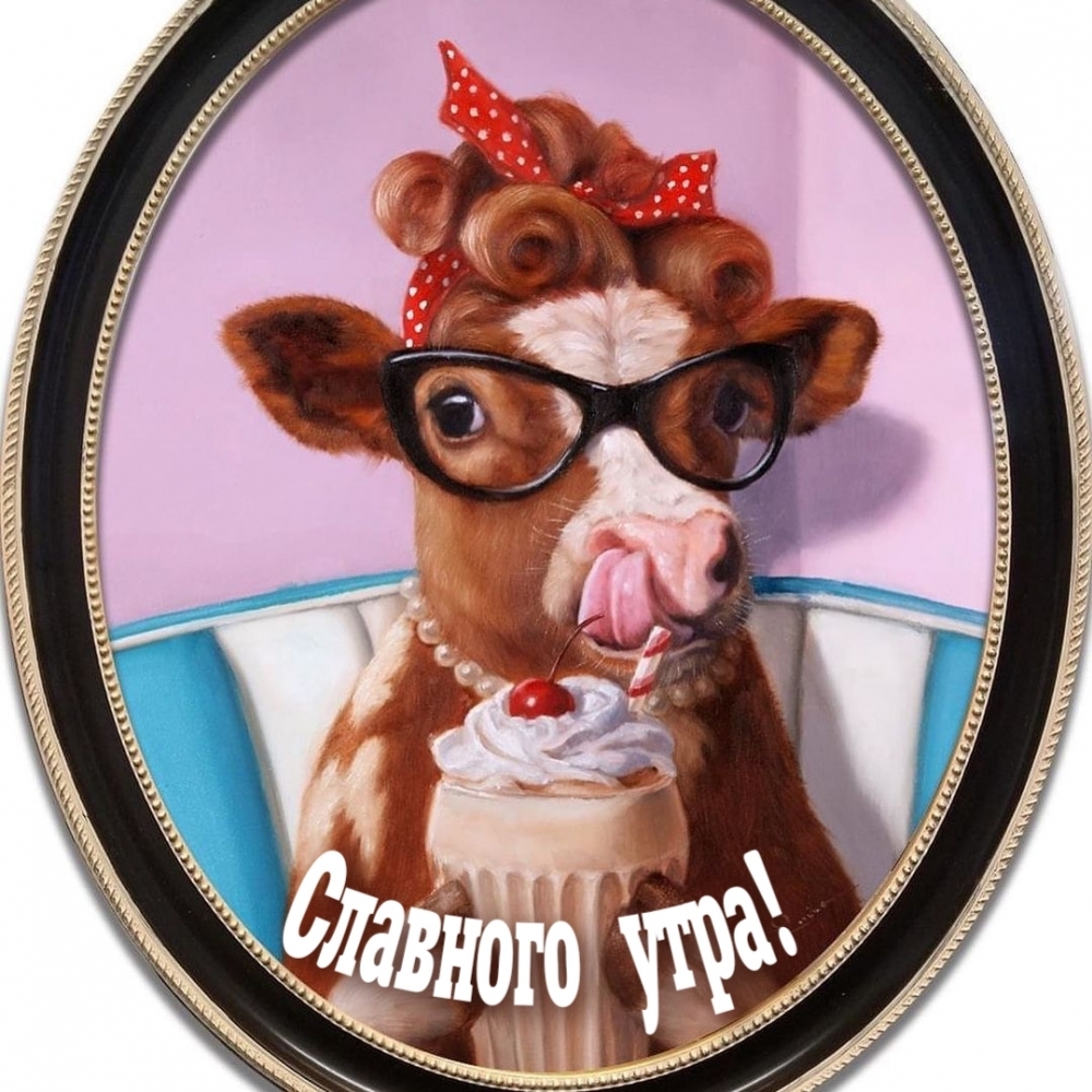 Славного утра!