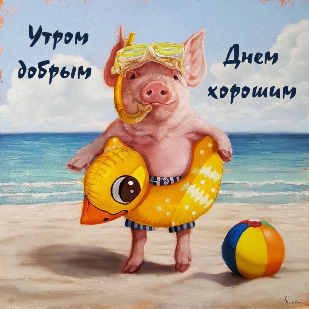 Утром добрым, днем хорошим.