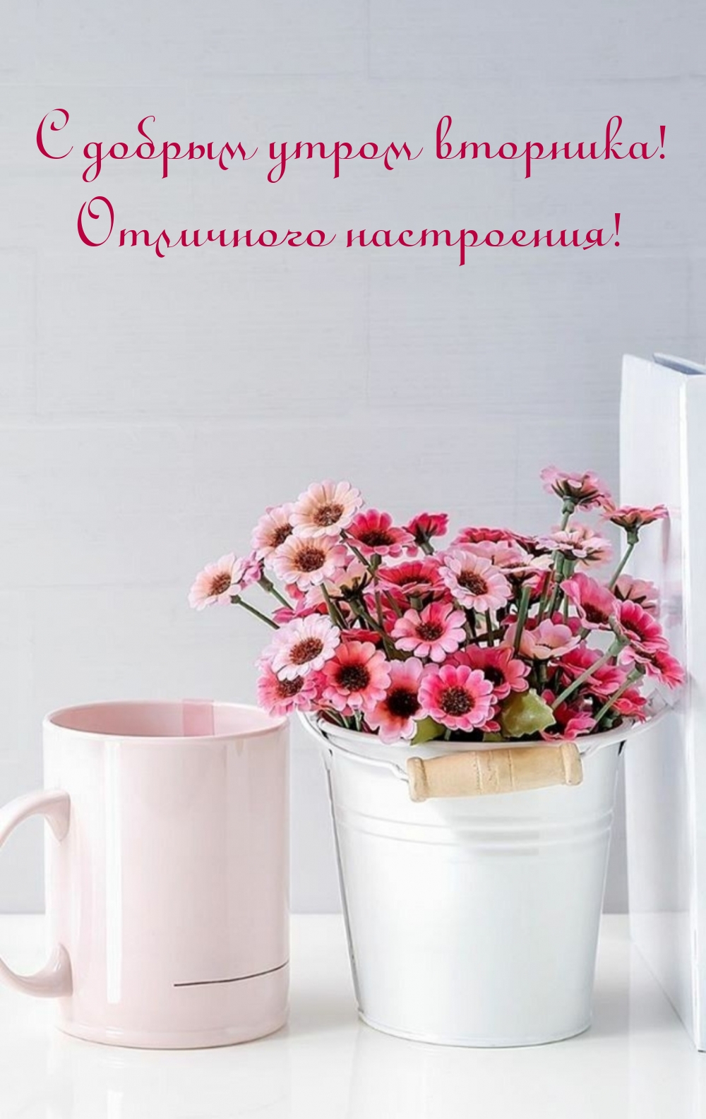 С добрым утром вторника! Отличного настроения!