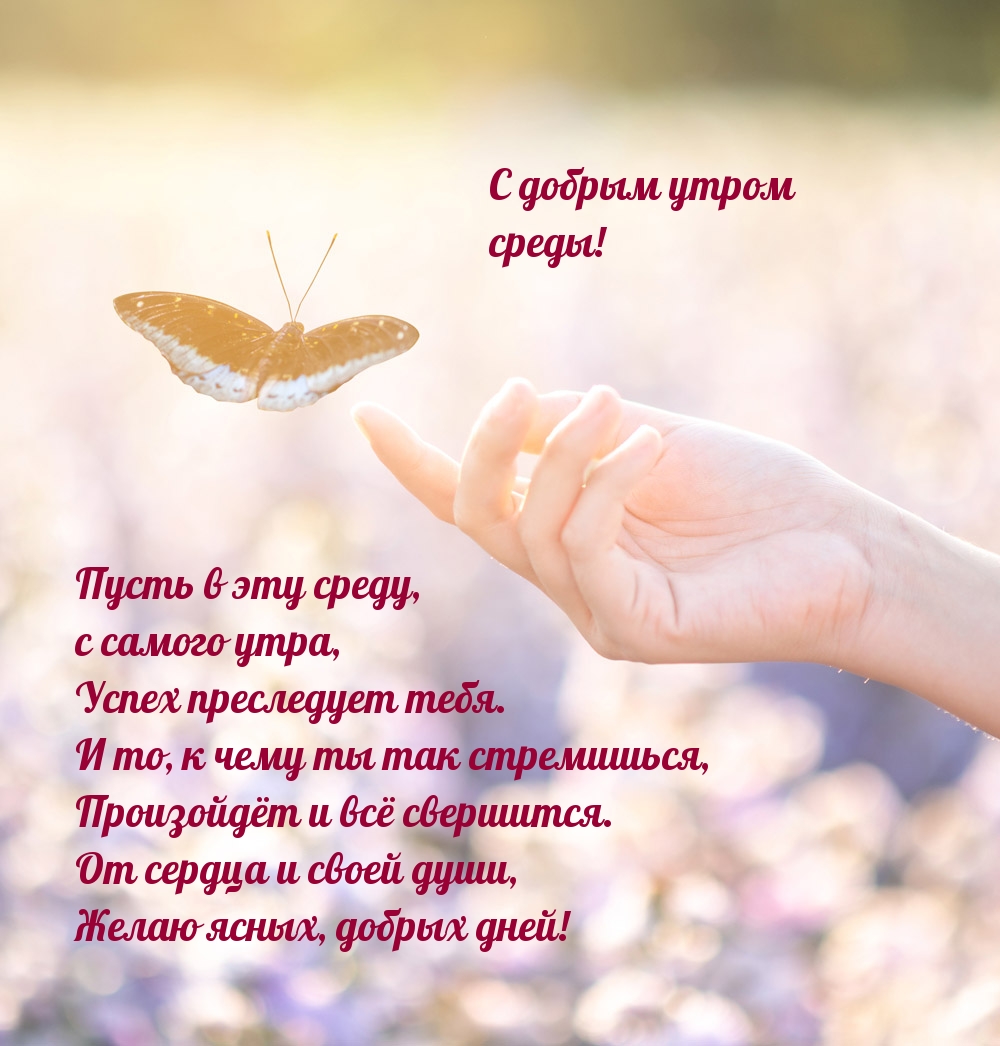 Пусть в эту среду, с самого утра, успех преследует тебя.